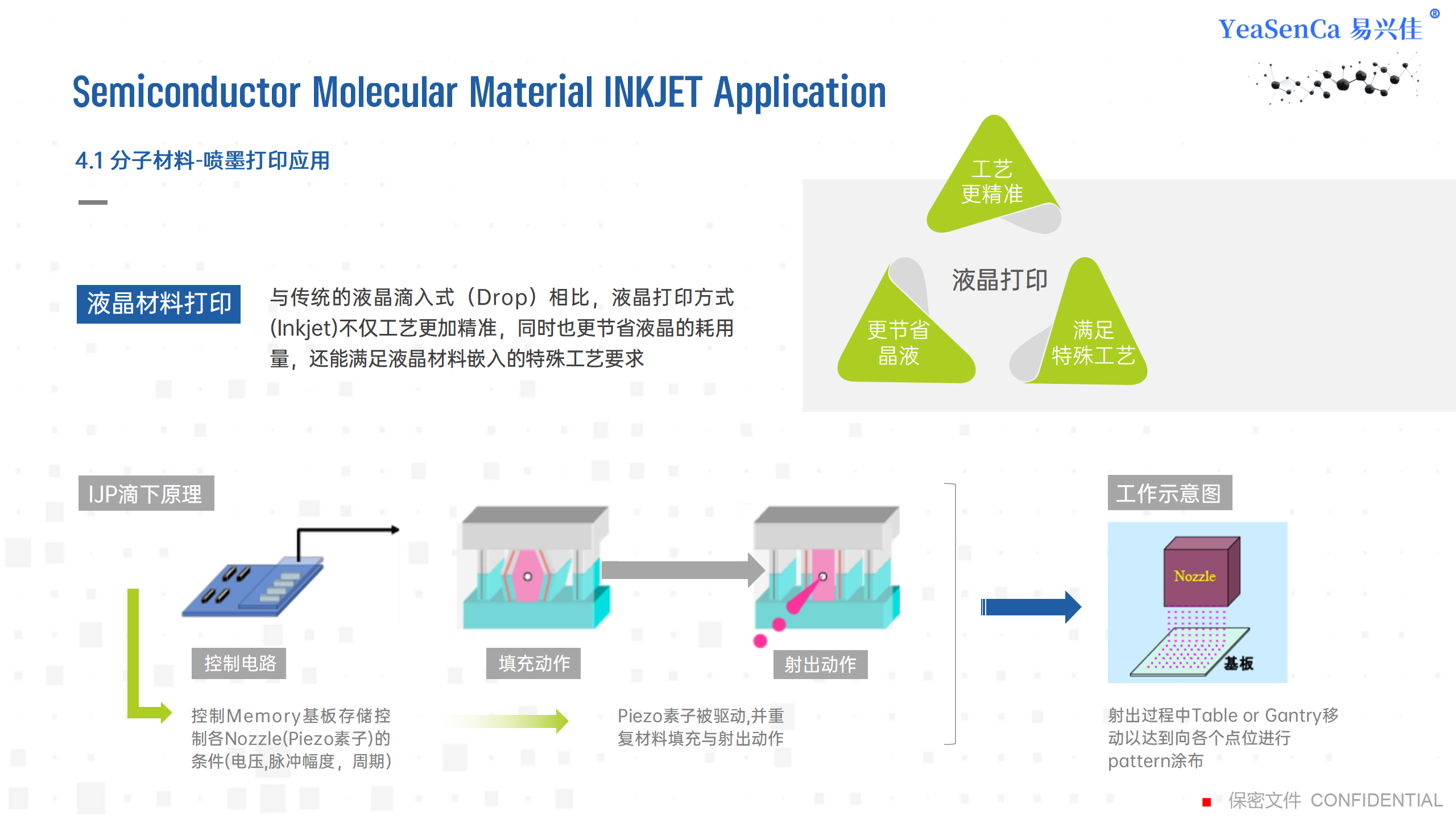分子聚合物应用2024 -YESCA中文_15.png