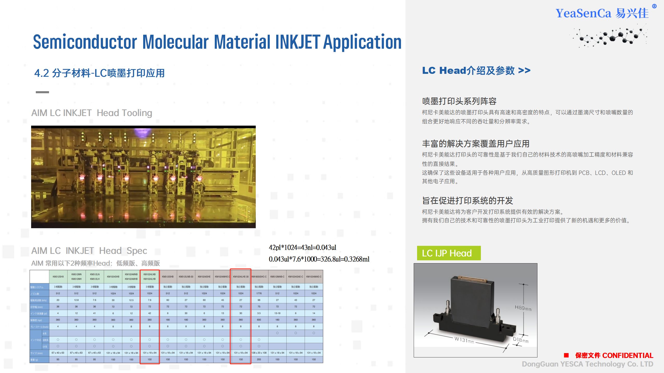 分子聚合物应用2024 -YESCA中文_16.png